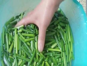 洗肠蔬，韭菜苔 3元1斤，中老年人多吃它，养肾降血脂，腿脚有劲